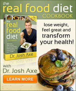 The Real Food Diet Cookbook by Dr. Josh Axe