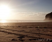 Bethells Beach, West Auckland, New Zealand