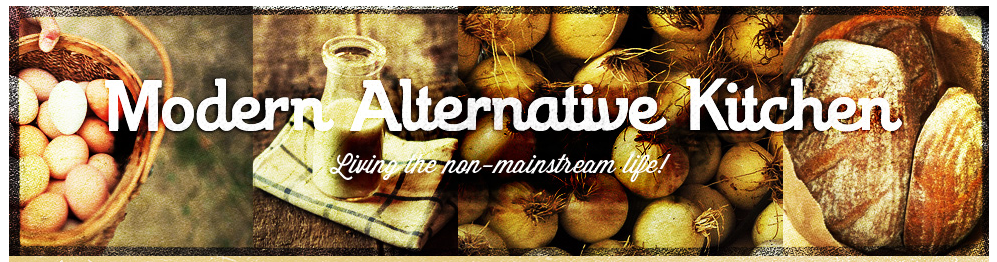 Modern Alternative Kitchen Modern Alternative Kitchen