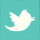 Twitter Footer